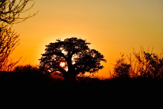 Addo Elephant National Park